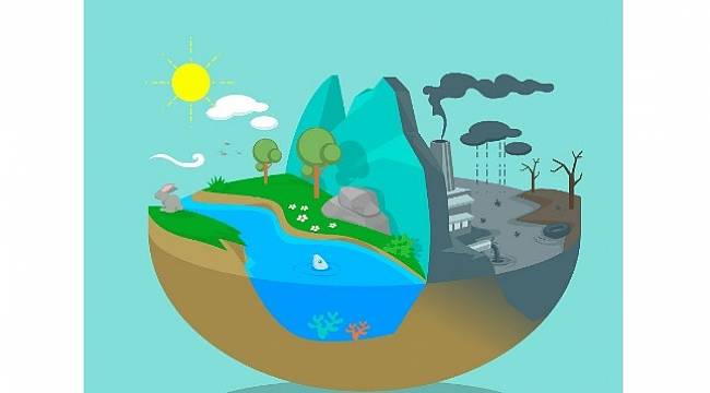 Fabrika ve egzoz gazları ile kirli suları temizler!