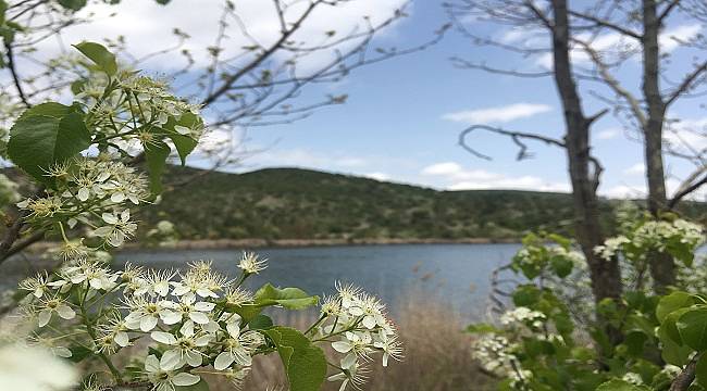 Hafta sonu ODTÜ Eymir hareketliydi (ÇEVRE HABERİ)