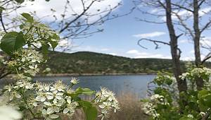 Hafta sonu ODTÜ Eymir hareketliydi (ÇEVRE HABERİ)