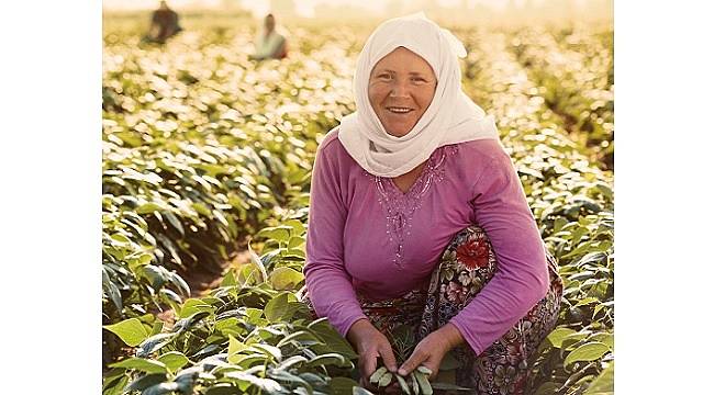 Sabancı Of New Generation