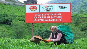 TEMA Vakfı: Çay Tarımı Toprak sağlığı İçin