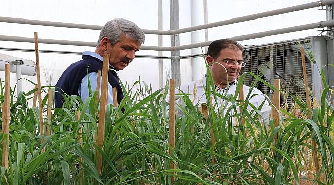 Türkiye, Dünyanın Hububat ve Bakliyat Üretim Üssü Olabilir!