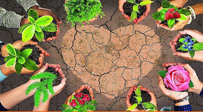 17 HAZİRAN: &#039;Dünya Çölleşme ile Mücadele Günü&#039;