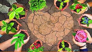 17 HAZİRAN: 'Dünya Çölleşme ile Mücadele Günü'