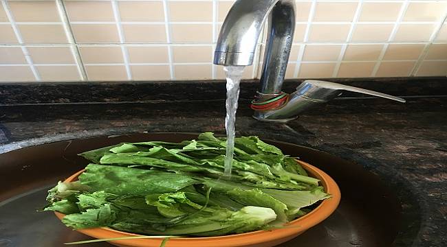 4 kişilik bir aile 18 ton suyu kurtarabilir: SADECE BU YÖNTEMLE