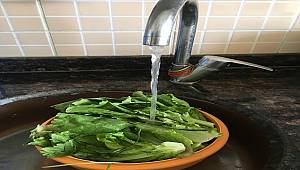 4 kişilik bir aile 18 ton suyu kurtarabilir: SADECE BU YÖNTEMLE