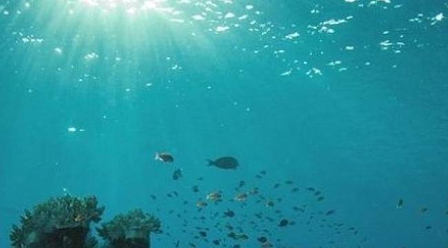 ÇEVRE İÇİN ÖNEMLİ: &#039;Sıfır Atık Mavi&#039; pazartesi başlıyor