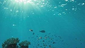 ÇEVRE İÇİN ÖNEMLİ: 'Sıfır Atık Mavi' pazartesi başlıyor