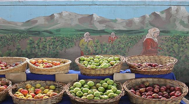 Doğayı ve yaşamı korumak için pestisit bağımlılığından kurtulmalıyız!