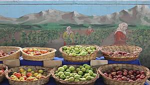 Doğayı ve yaşamı korumak için pestisit bağımlılığından kurtulmalıyız!