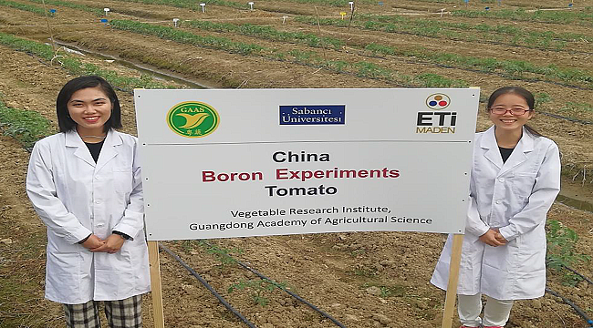 Dünyaya yeni bir bor mineralini tanıtıyor: SABANCI ÜNİVERSİTESİ