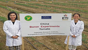 Dünyaya yeni bir bor mineralini tanıtıyor: SABANCI ÜNİVERSİTESİ