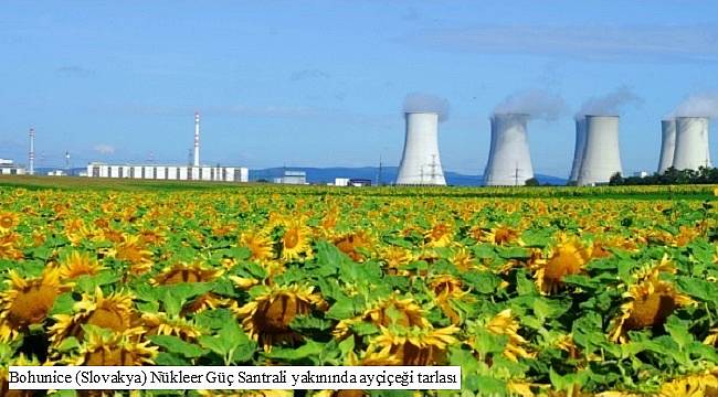 Faaliyette olan bazı nükleer santrallerden görüntüler: AYRINTILAR İÇİN TIKLAYINIZ