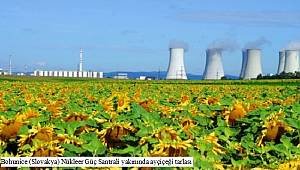 Faaliyette olan bazı nükleer santrallerden görüntüler: AYRINTILAR İÇİN TIKLAYINIZ