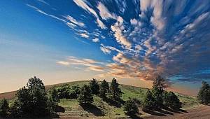 Leonardo Vinci'nin bu sözünü biliyor musunuz?