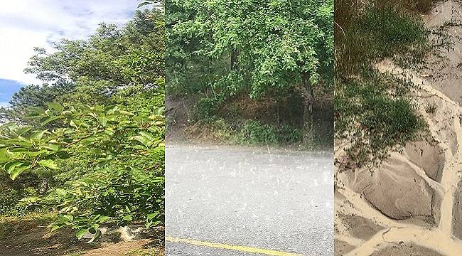 ODTÜ EYMİR GÖLÜ: 2 saatlik hava durumu