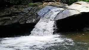 Of Değirmen Irmağı (Videolu - Dünya Çevre Günü için)