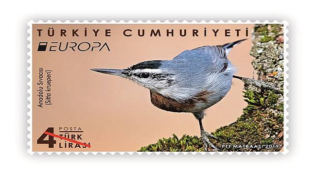 PTT YARIŞMAYA: Endemik bir kuş türü olan &#039;Anadolu Sıvacısı&#039; fotoğrafıyla katılıyor!