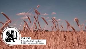 Rüzgar enerjisinin ilk tarihi: GE TÜRKİYE HAZIRLADI