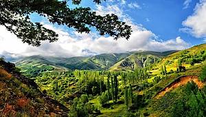 TEMA Vakfı: Bu yıl ki konusu 'Hava Kirliliği'