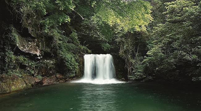 Tüm dünyada 2,880 milyon metreküp su tasarrufu sağladı
