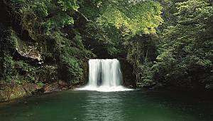 Tüm dünyada 2,880 milyon metreküp su tasarrufu sağladı