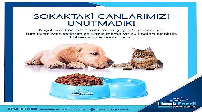 Lütfen siz de küçük dostlarımızı unutmayın!