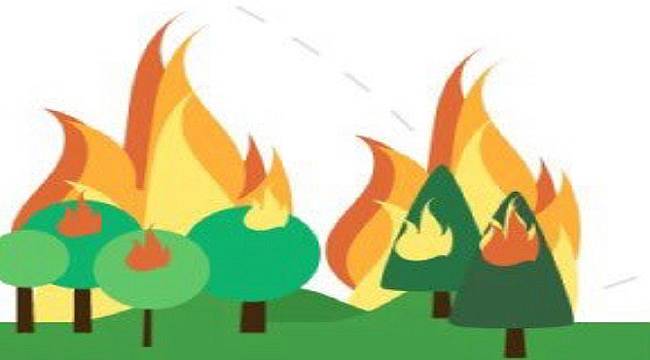 &#039;Ormanlara cam ve cam kırıkları atmayın&#039;