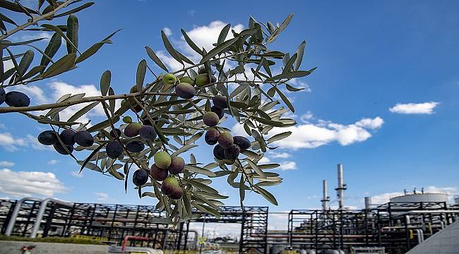 TÜPRAŞ: AB’den bir destek daha aldı