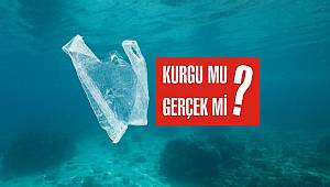 YENİ RAPOR: Plastik poşetlerin 11 bin metre derinliğe inmesi mümkün mü?