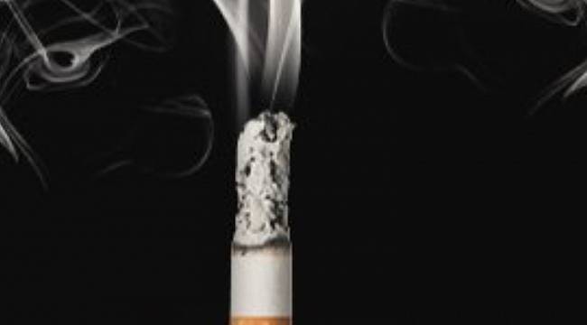 Doğal bitki örtüsüne zarar veriyor: YERE ATMAYIN