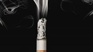 Doğal bitki örtüsüne zarar veriyor: YERE ATMAYIN