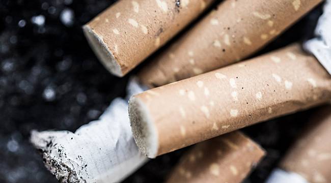 ENERJİ Çalışan ve Yöneticileri: Sigarayı bırak, sen de Atıksız yaşama katıl