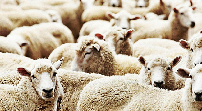 ENERJİ DÜNYASI: E-Ticarette “Bayram” Bereketi yaşanıyor