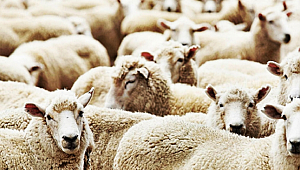 ENERJİ DÜNYASI: E-Ticarette “Bayram” Bereketi yaşanıyor