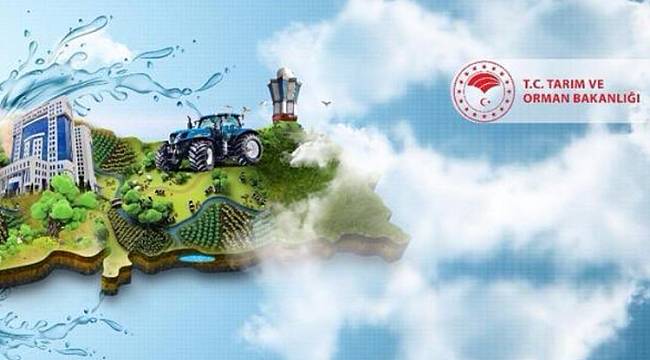 Şoförde alınacak Orman Mühendiside: AYRINTILAR İÇİN TIKLAYINIZ