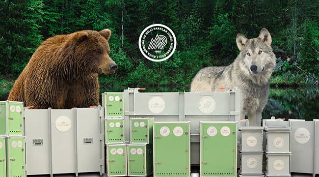 TANAP: Yaban hayatının korunmasına destek verdi