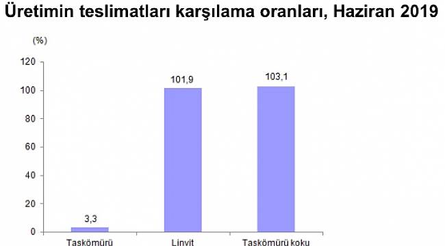 Taşkömürü ve linyit teslimatı en fazla termik santrallere yapıldı!