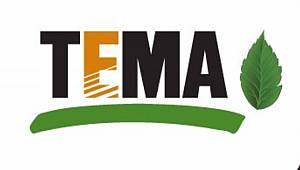 TEMA Vakfı: ‘Ağaç tanımı’ mevzuatta açık, en az 195.000 ağaç kesildi