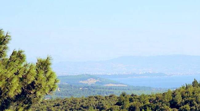 TEMA Vakfı: Altın madenciliği konusunda umut yeşerten haber