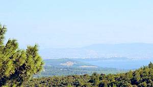 TEMA Vakfı: Altın madenciliği konusunda umut yeşerten haber