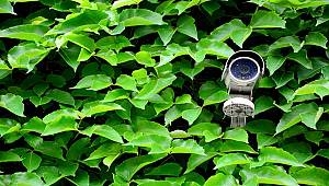 Türkiye'deki ormanları yapay zeka koruyacak!