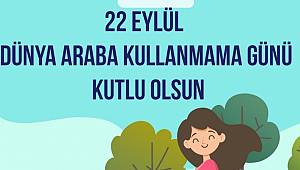 Bugün ‘Dünya Araba Kullanma Günü’