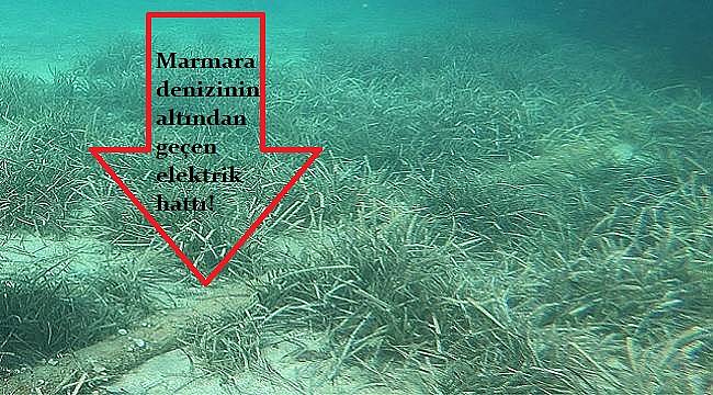 DEPREMDE: Denizin altındaki elektrik kesilmedi, karadaki cep telefonu iletişim kesildi