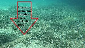 DEPREMDE: Denizin altındaki elektrik kesilmedi, karadaki cep telefonu iletişim kesildi