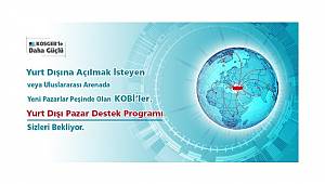 ENERJİ DÜNYASI: 'Yurt Dışı Pazar Destek Programı' başladı