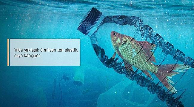 GDZ Elektrik: 100.000 deniz canlısını etkiliyor