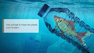 GDZ Elektrik: 100.000 deniz canlısını etkiliyor