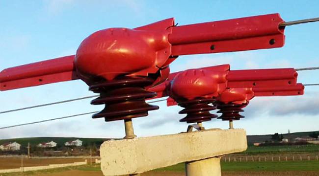 Kuşlar elektrik akımına kapılmasın diye 3.500 direğe izolasyon uyguladı