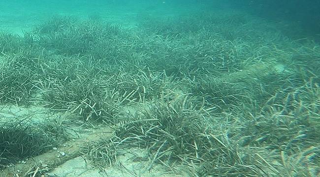 Marmara&#039;nın altından elektrik kabloları nasıl geçiyor, merak ettiniz mi? (VİDEOLU)